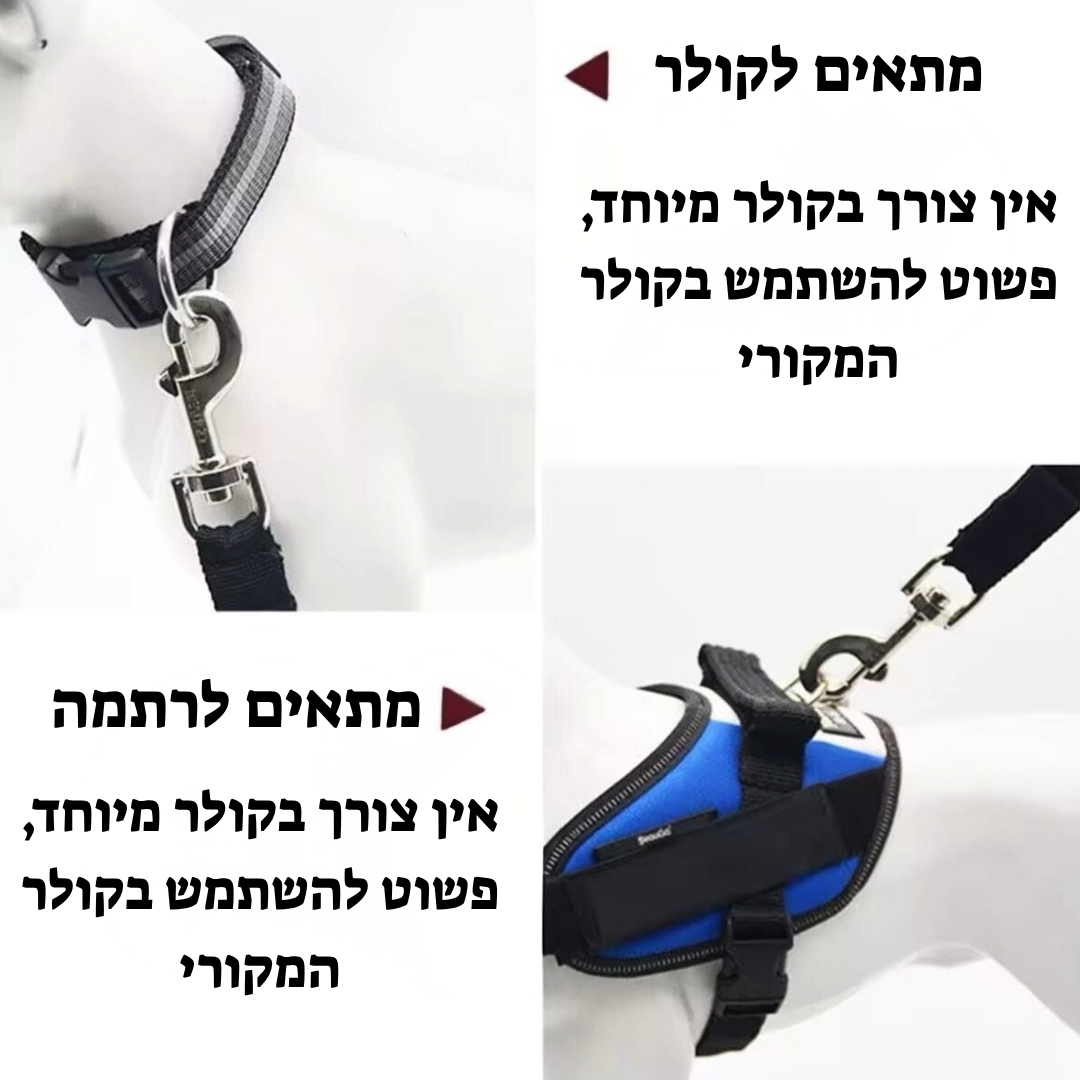 Pawbelt- החגורה הבטיחותית לכלב