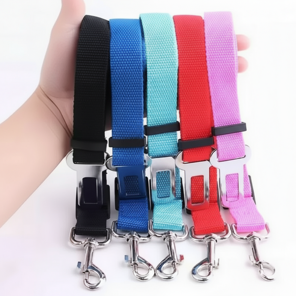 Pawbelt- החגורה הבטיחותית לכלב