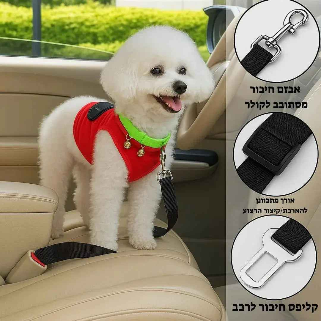 PAWBELT- החגורה הבטיחותית לכלב