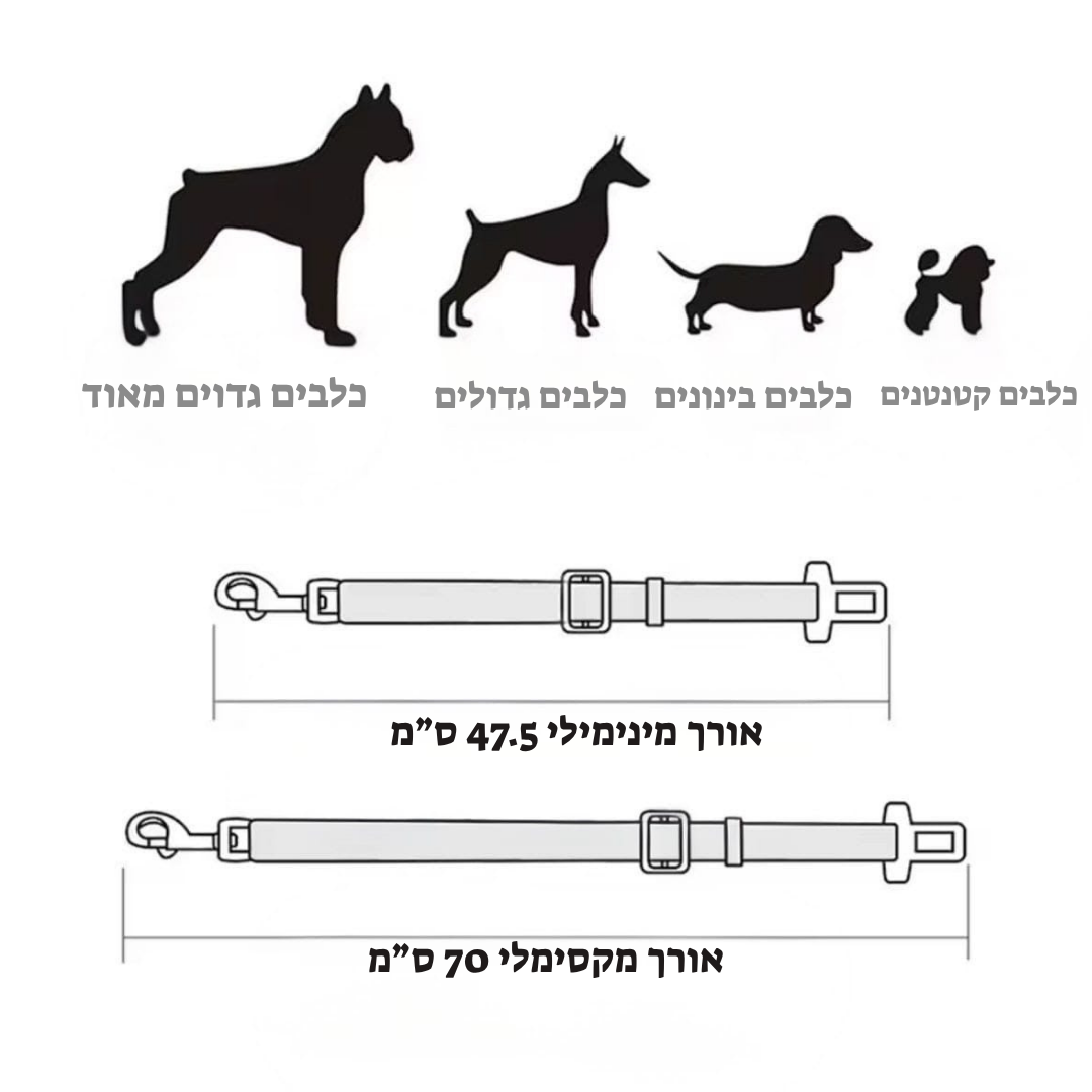 Pawbelt- החגורה הבטיחותית לכלב