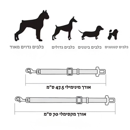 Pawbelt- החגורה הבטיחותית לכלב