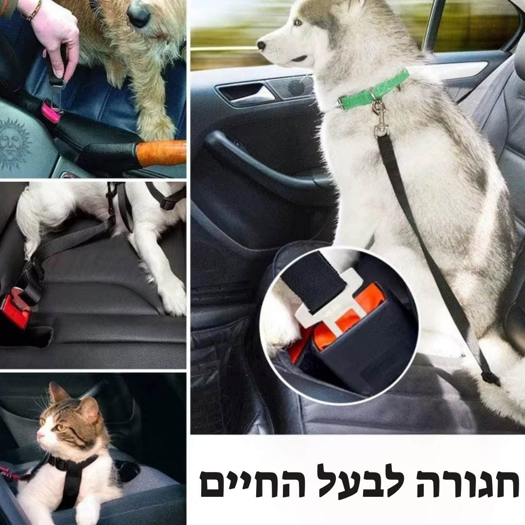 Pawbelt- החגורה הבטיחותית לכלב