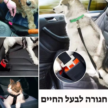 Pawbelt- החגורה הבטיחותית לכלב