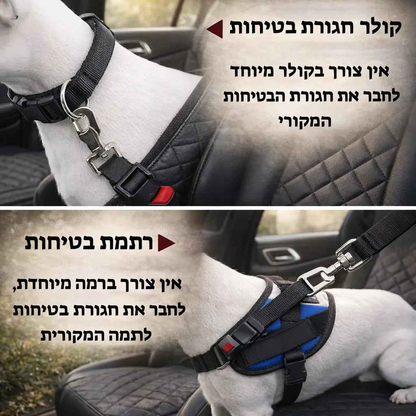 PAWBELT- החגורה הבטיחותית לכלב