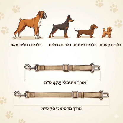 PAWBELT- החגורה הבטיחותית לכלב