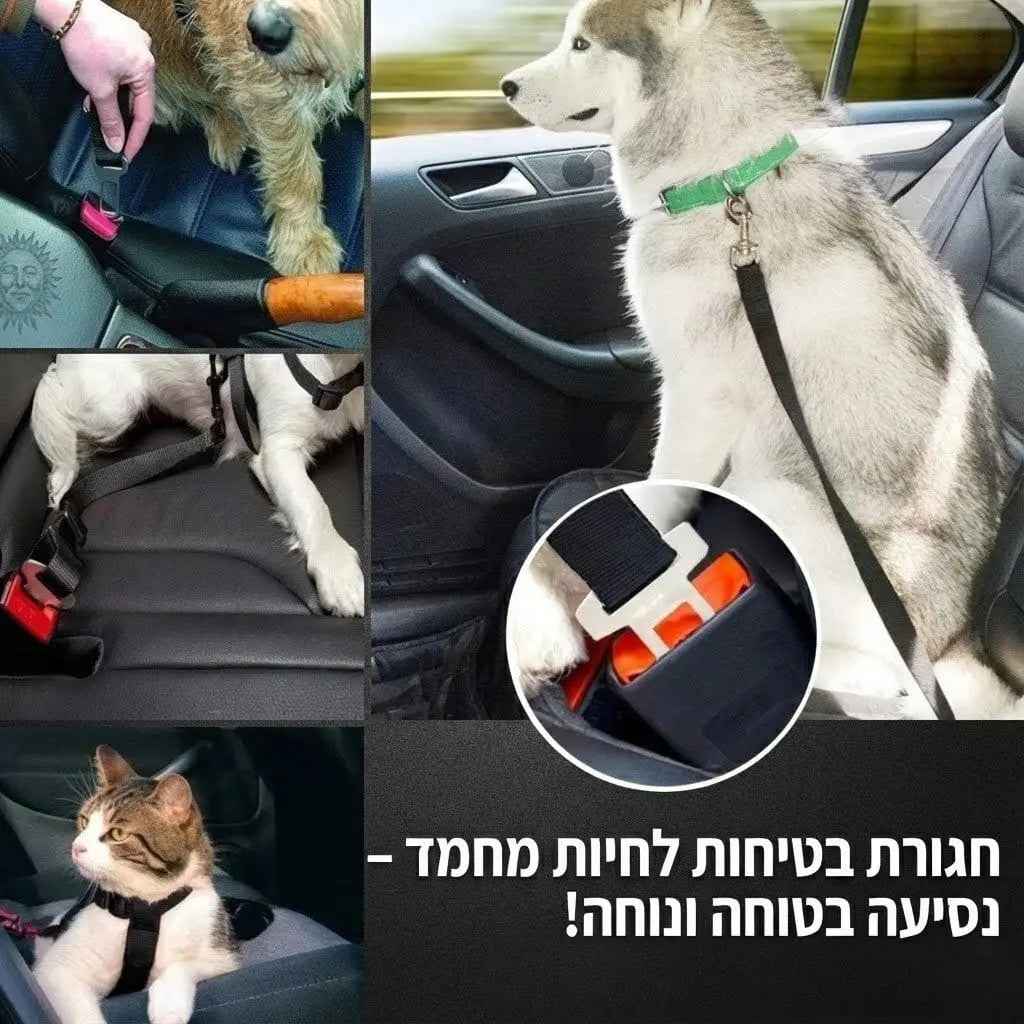 PAWBELT- החגורה הבטיחותית לכלב
